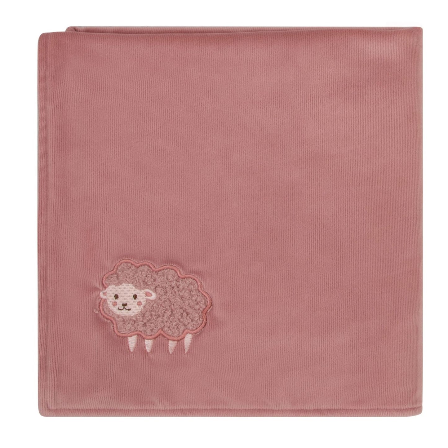 Sheep Velour Blanket-Rose
