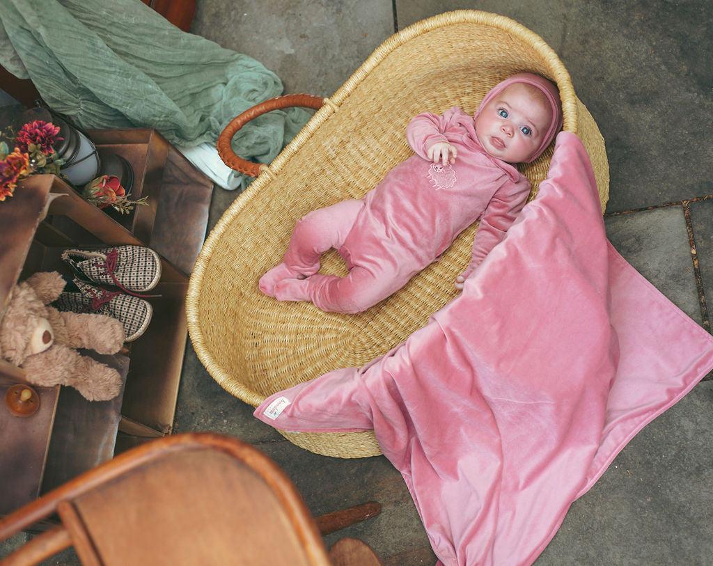 Sheep Velour Blanket-Rose