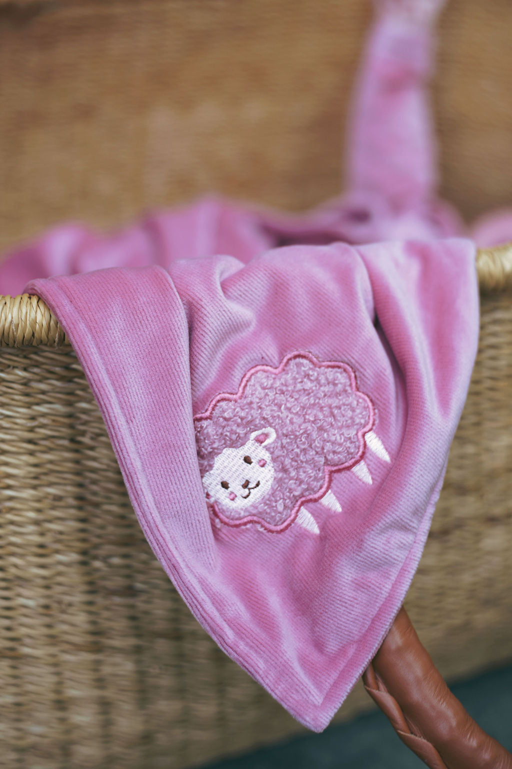 Sheep Velour/sherpa Blanket-Rose