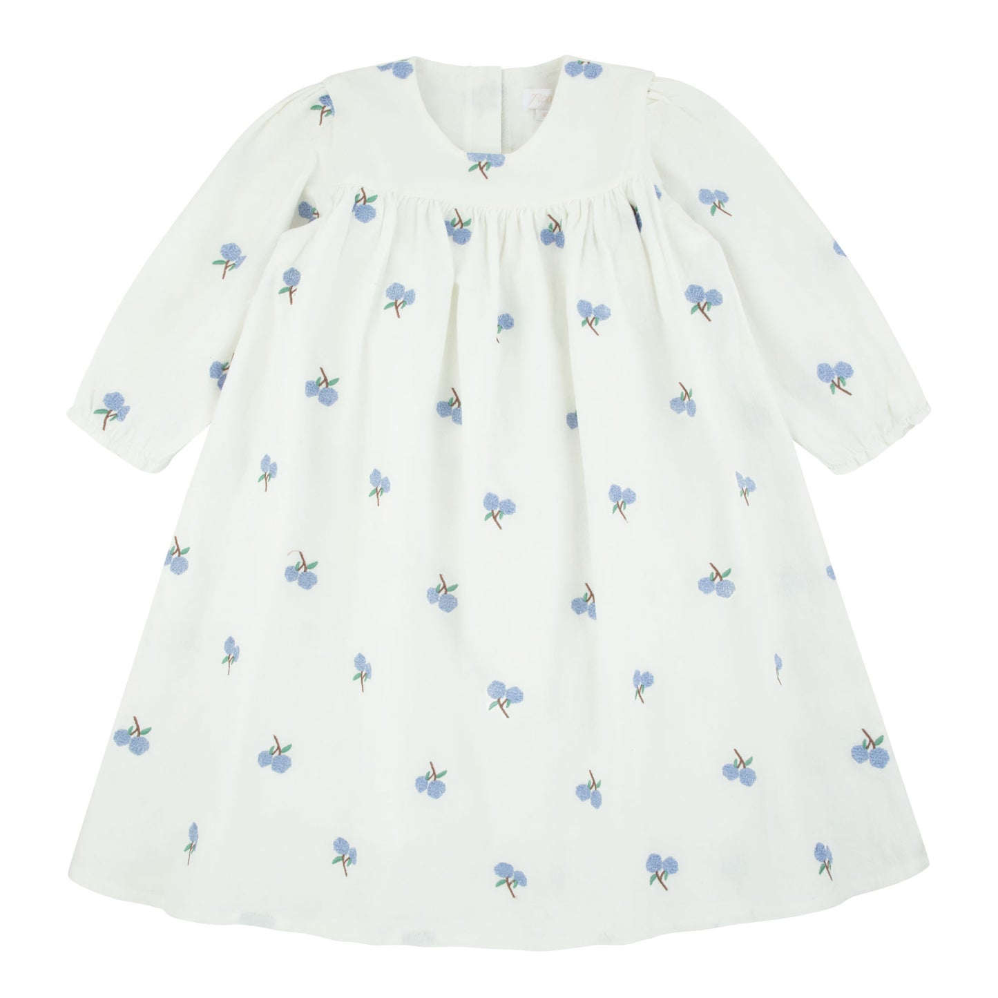 Embroidered White Dress