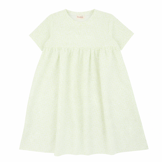 Lime Green Fruit Print short sleeve Dress